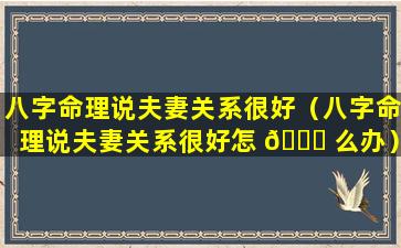 八字命理说夫妻关系很好（八字命理说夫妻关系很好怎 🐝 么办）